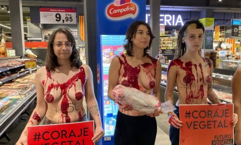 Protestamos desnudas y bañadas en sangre en Carrefour.